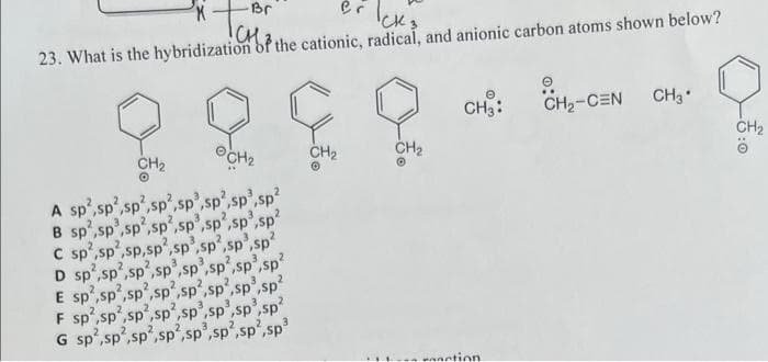 Br
Pr
ion of the cationic, radical, and anionic carbon atoms shown below?
23. What is the hybridization
CH₂
B
C
3
A sp sp ,sp,sp ,sp,sp,sp³,sp²
sp²,sp,sp,sp,sp,sp²,sp³,sp²
sp²,sp,sp,sp,sp³,sp².sp.sp²
D sp,sp,sp,sp,sp³,sp²,sp³,sp²
E sp²,sp²,sp²,sp,sp,sp,sp³,s
F sp,sp,sp,sp,sp³,sp,sp³,sp
G sp2,sp²,sp²,sp²,sp³,sp²,sp²,sp³
2
Sp²
CH₂
CH₂
CH3:
anction
CH₂-CEN
CH3
CH₂
