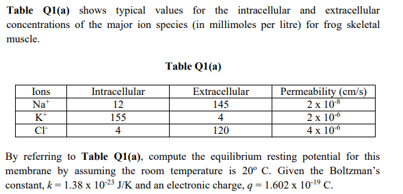 Table Q1(a) shows typical values for the intracellular and extracellular
concentrations of the major ion species (in millimoles per litre) for frog skeletal
muscle.
Table Q1(a)
Permeability (cm/s)
2 x 10-8
2х 10
Ions
Intracellular
Extracellular
Na*
12
145
K+
155
4
4
120
4 x 106
By referring to Table Q1(a), compute the equilibrium resting potential for this
membrane by assuming the room temperature is 20° C. Given the Boltzman's
constant, k = 1.38 x 1023 J/K and an electronic charge, q = 1.602 x 10-19 C.
