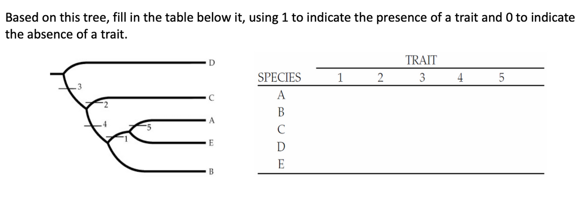 Based on this tree, fill in the table below it, using 1 to indicate the presence of a trait and 0 to indicate
the absence of a trait.
D
SPECIES
A
1
2
TRAIT
3
4
5
B
A
-5
C
E
D
E
B