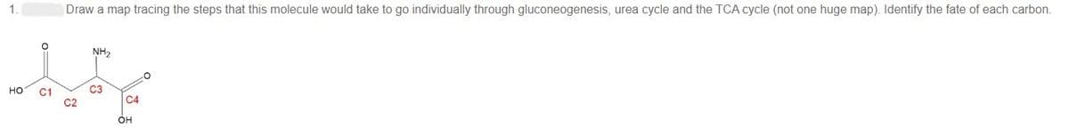 1.
Draw a map tracing the steps that this molecule would take to go individually through gluconeogenesis, urea cycle and the TCA cycle (not one huge map). Identify the fate of each carbon.
NH2
HO
C1
C2
C3
C4
OH