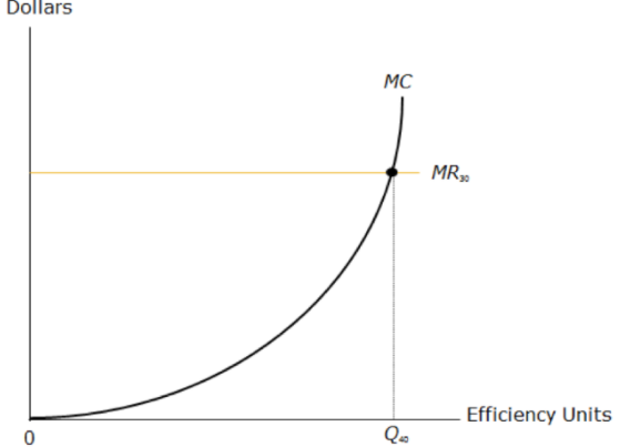 Dollars
MC
MR»
Efficiency Units
Qo
