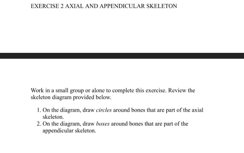 EXERCISE 2 AXIAL AND APPENDICULAR SKELETON
Work in a small group or alone to complete this exercise. Review the
skeleton diagram provided below.
1. On the diagram, draw circles around bones that are part of the axial
skeleton.
2. On the diagram, draw boxes around bones that are part of the
appendicular skeleton.