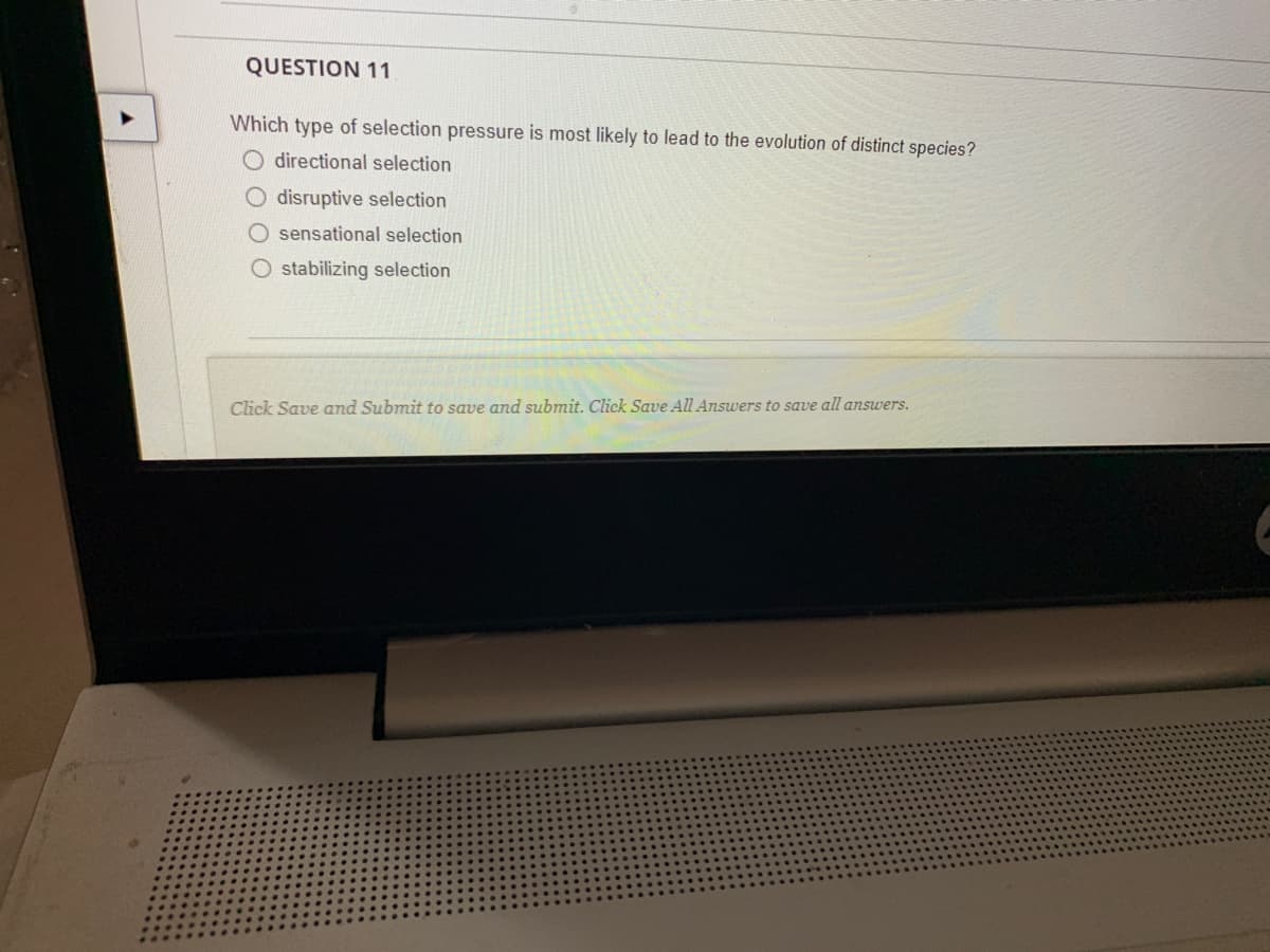 QUESTION 11
Which type of selection pressure is most likely to lead to the evolution of distinct species?
O directional selection
O disruptive selection
O sensational selection
O stabilizing selection
Click Save and Submit to save and submit. Click Save All Answers to save all answers.
