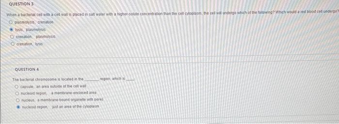 QUESTION 3
When a bacterial cell with a cell wall is placed in salt water with a higher-solute concentration than the cell cytoplasm, the cell will undergo which of the following? Which would a red blood cell undergo?
O plasmolysis, crenation
lysis, plasmolysis
O crenation, plasmolysis
O crenation, lyss
QUESTION 4
The bacterial chromosome is located in the
O capsule, an area outside of the cell wall
O nucleoid region, a membrane-enclosed area
O nucleus, a membrane-bound organele with pores
nucleoid region, just an area of the cytoplasm
region, which is
