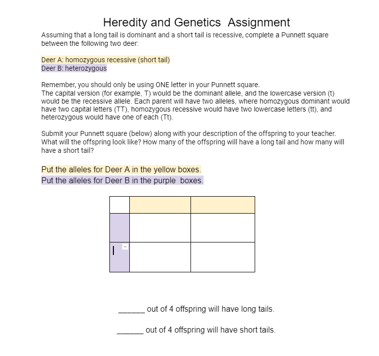 Heredity and Genetics Assignment
Assuming that a long tail is dominant and a short tail is recessive, complete a Punnett square
between the following two deer:
Deer A: homozygous recessive (short tail)
Deer B: heterozygous
Remember, you should only be using ONE letter in your Punnett square.
The capital version (for example, T) would be the dominant allele, and the lowercase version (t)
would be the recessive allele. Each parent will have two alleles, where homozygous dominant would
have two capital letters (TT), homozygous recessive would have two lowercase letters (tt), and
heterozygous would have one of each (Tt).
Submit your Punnett square (below) along with your description of the offspring to your teacher.
What will the offspring look like? How many of the offspring will have a long tail and how many will
have a short tail?
Put the alleles for Deer A in the yellow boxes.
Put the alleles for Deer B in the purple boxes.
1
out of 4 offspring will have long tails.
out of 4 offspring will have short tails.