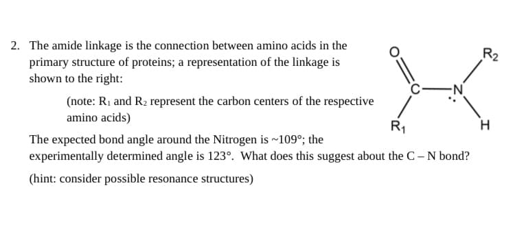 2. The amide linkage is the connection between amino acids in the
primary structure of proteins; a representation of the linkage is
shown to the right:
R2
(note: R1 and R2 represent the carbon centers of the respective
amino acids)
R1
H
The expected bond angle around the Nitrogen is ~109°; the
experimentally determined angle is 123°. What does this suggest about the C- N bond?
(hint: consider possible resonance structures)
