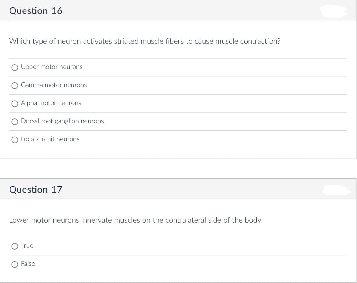 Question 16
Which type of neuron activates striated muscle fibers to cause muscle contraction?
O Upper motor neurons
Gamma motor neurons
O Alpha motor neurons
O Dorsal root ganglion neurons
Local circuit neurons
Question 17
Lower motor neurons innervate muscles on the contralateral side of the body.
O True
False