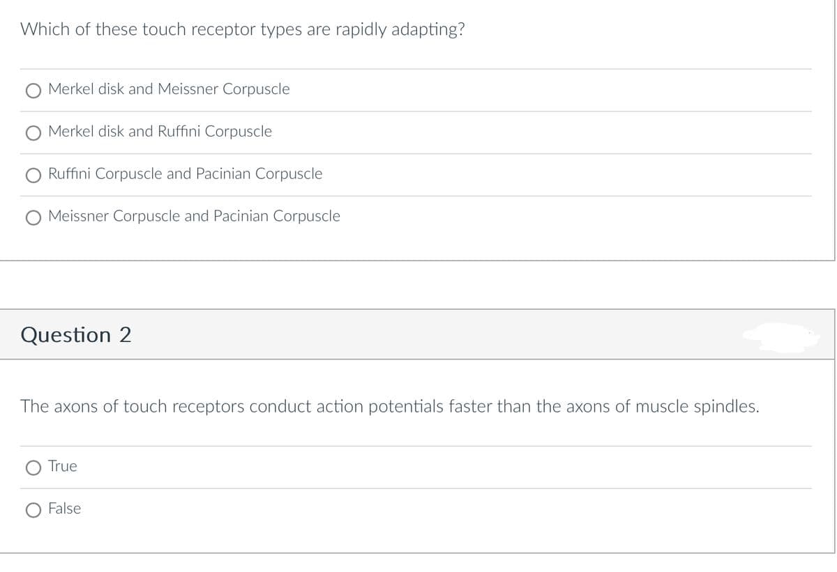 Which of these touch receptor types are rapidly adapting?
Merkel disk and Meissner Corpuscle
Merkel disk and Ruffini Corpuscle
Ruffini Corpuscle and Pacinian Corpuscle
O Meissner Corpuscle and Pacinian Corpuscle
Question 2
The axons of touch receptors conduct action potentials faster than the axons of muscle spindles.
O True
O False