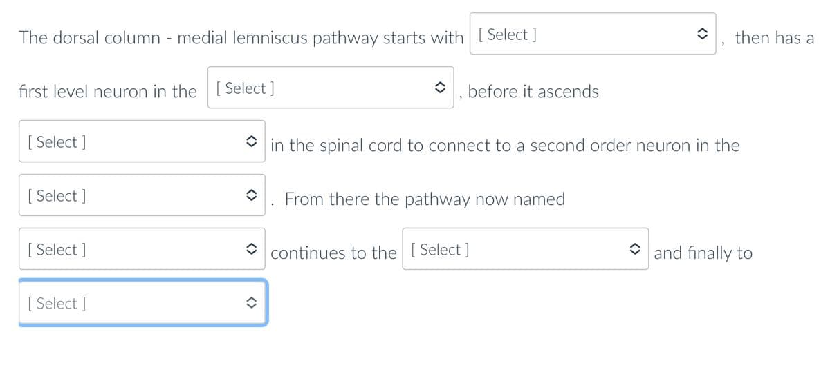 The dorsal column - medial lemniscus pathway starts with [Select]
first level neuron in the [ [ Select]
[Select]
[Select]
[Select]
[Select]
◆ before it ascends
in the spinal cord to connect to a second order neuron in the
î From there the pathway now named
then has a
continues to the [Select]
◆ and finally to