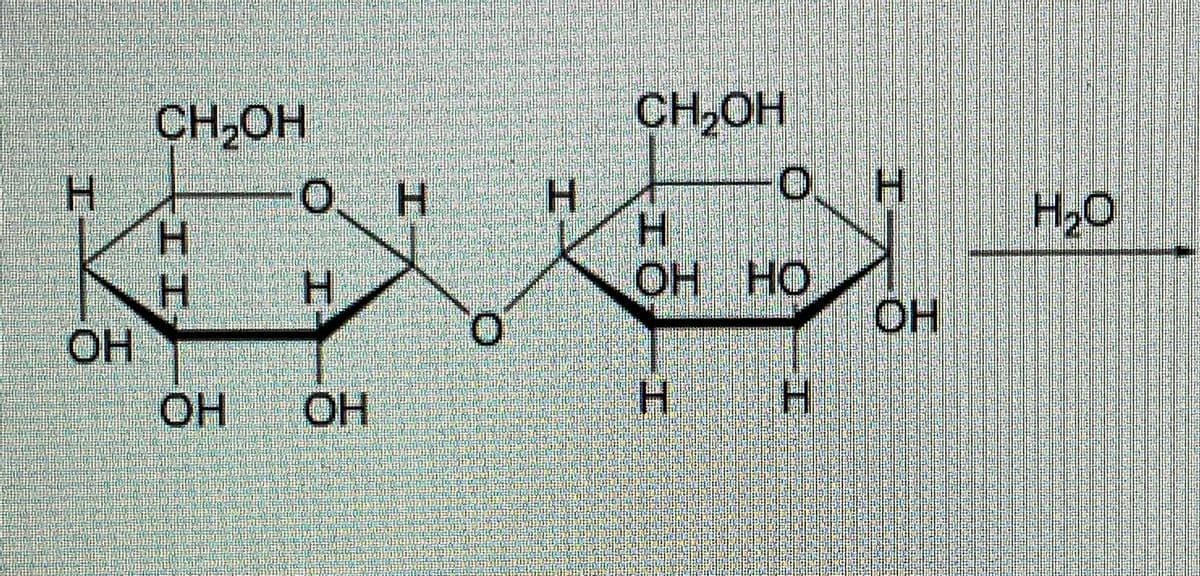 CH,OH
CH,OH
O H
H.
H.
OH
OH
H.
H.
H.
ОН НО
H2O
H.
O.
OH
H H
