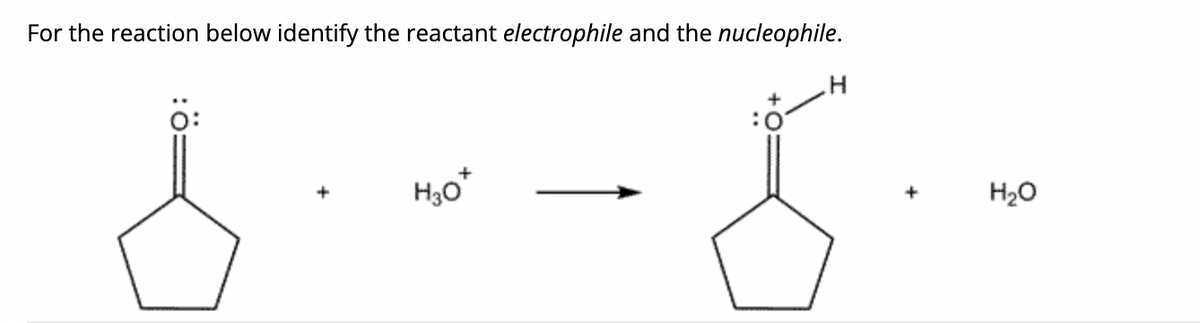 For the reaction below identify the reactant electrophile and the nucleophile.
H
8
Ö:
H3O
H₂O