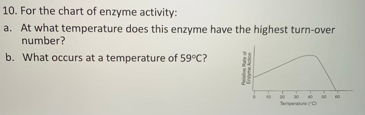 10. For the chart of enzyme activity:
a. At what temperature does this enzyme have the highest turn-over
number?
b. What occurs at a temperature of 59°C?
20
30
40
50
60
Temperature (°C)
Relative Rate of
Enzyme Action
10
