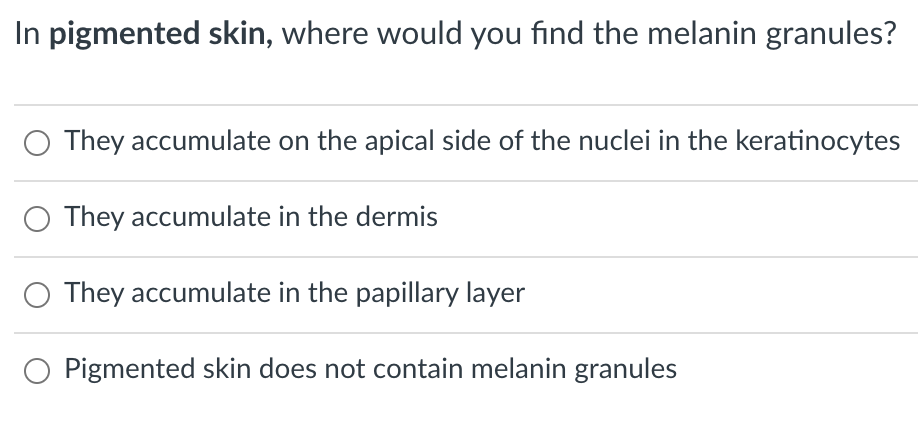 In pigmented skin, where would you find the melanin granules?
O They accumulate on the apical side of the nuclei in the keratinocytes
O They accumulate in the dermis
O They accumulate in the papillary layer
O Pigmented skin does not contain melanin granules

