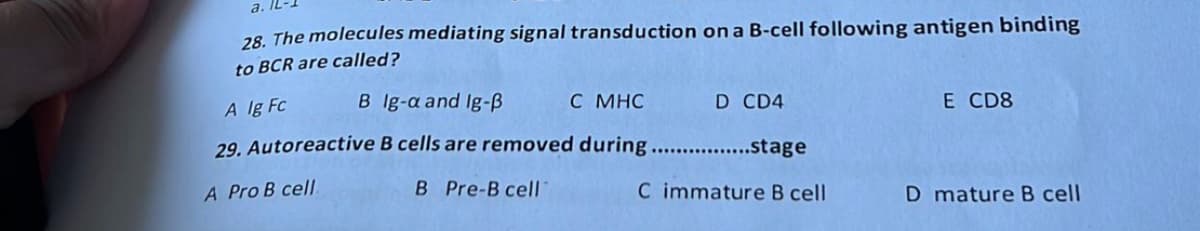 28. The molecules mediating signal transduction on a B-cell following antigen binding
to BCR are called?
A lg Fc
B Ig-a and Ig-B
C MHC
29. Autoreactive B cells are removed during ................stage
A Pro B cell
B Pre-B cell
C immature B cell
D CD4
E CD8
D mature B cell