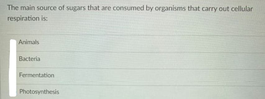 The main source of sugars that are consumed by organisms that carry out cellular
respiration is:
Animals
Bacteria
Fermentation
Photosynthesis
