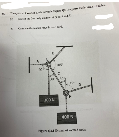 Q2
The system of knotted cords shown in Figure Q2.1 supports the indicated weights.
(a)
Sketch the free body diagram at point E and F.
(b)
Compute the tensile force in each cord.
11
B
90°
$1
E
105°
C
30° 30°
300 N
75°
400 N
Figure Q2.1 System of knotted cords.