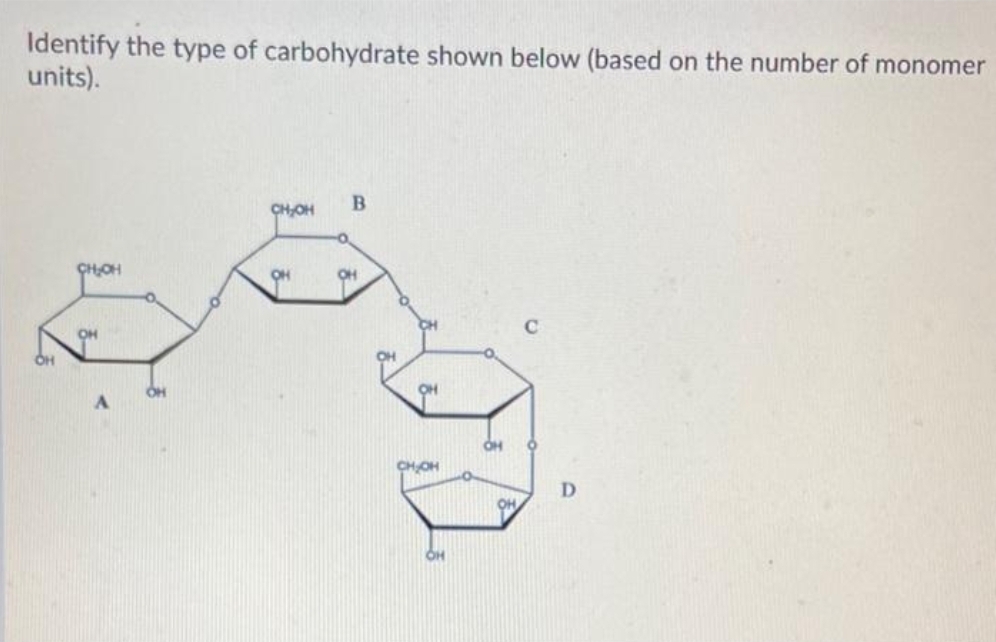 Identify the type of carbohydrate shown below (based on the number of monomer
units).
CH₂OH
OH
A
CH₂OH
OH
B
OH
OH
CH₂OH
OH
OH
OH
D