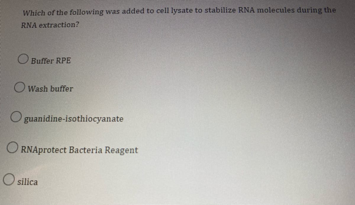 Which of the following was added to cell lysate to stabilize RNA molecules during the
RNA extraction?
Buffer RPE
Wash buffer
guanidine-isothiocyanate
ORNAprotect Bacteria Reagent
O silica
