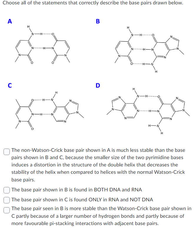 Choose all of the statements that correctly describe the base pairs drawn below.
A
C
H
H-N
-H-N
N-H- -N
B
H
D
موعة Rita
N
-H----
2
NHN
O-
-H-N
H
-H-
N- -H-N
The non-Watson-Crick base pair shown in A is much less stable than the base
pairs shown in B and C, because the smaller size of the two pyrimidine bases
induces a distortion in the structure of the double helix that decreases the
stability of the helix when compared to helices with the normal Watson-Crick
base pairs.
The base pair shown in B is found in BOTH DNA and RNA
The base pair shown in C is found ONLY in RNA and NOT DNA
The base pair seen in B is more stable than the Watson-Crick base pair shown in
C partly because of a larger number of hydrogen bonds and partly because of
more favourable pi-stacking interactions with adjacent base pairs.