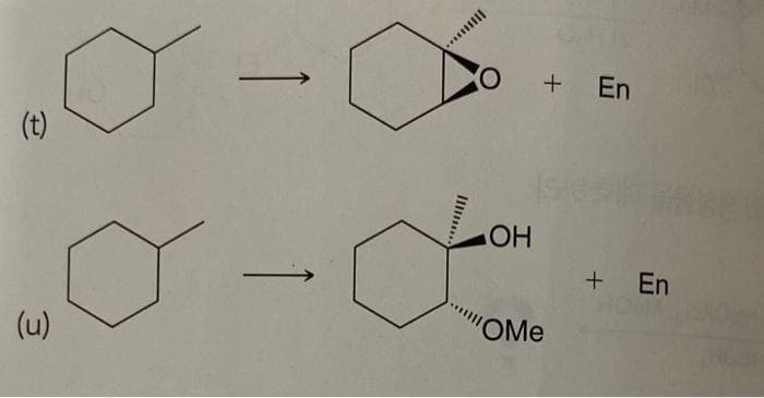 (t)
(u)
-
O
OH
OMe
+ En
+ En