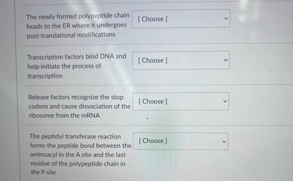 The newly formed polypeptide chain
heads to the ER where it undergoes
[ Choose ]
post-translational modifications
Transcription factors bind DNA and
help initiate the process of
[ Choose ]
transcription
Release factors recognize the stop
[ Choose ]
codons and cause dissociation of the
ribosome from the mRNA
The peptidyl transferase reaction
[ Choose]
forms the peptide bond between the
aminoacyl in the A site and the last
residue of the polypeptide chain in
the P site
