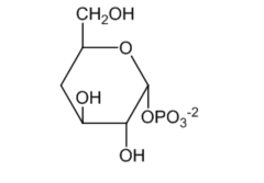 CH₂OH
ОН
OPO3-2
OH