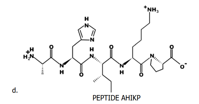 d.
ZH
H
I
+
N
-N
H
H
PEPTIDE AHIKP
+NH3