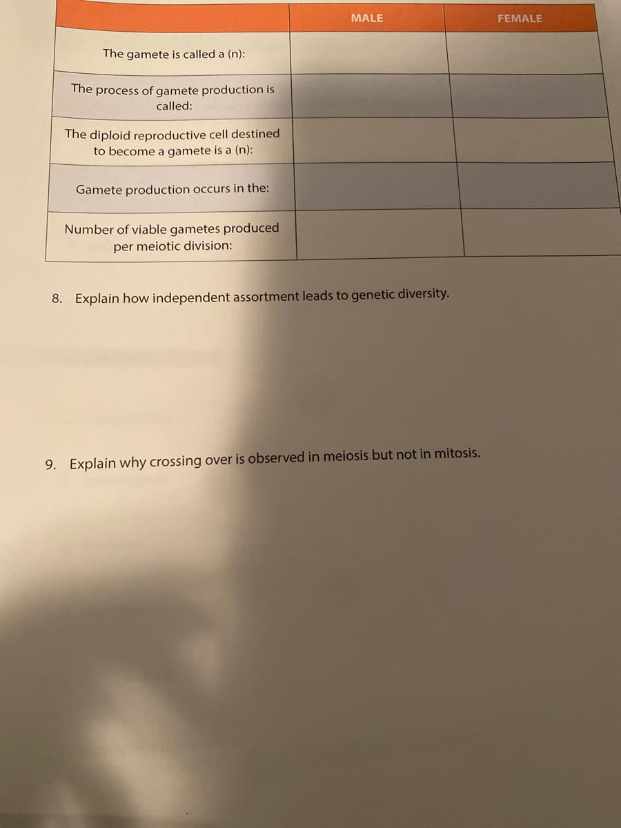 The gamete is called a (n):
The process of gamete production is
called:
The diploid reproductive cell destined
to become a gamete is a (n):
Gamete production occurs in the:
Number of viable gametes produced
per meiotic division:
MALE
8. Explain how independent assortment leads to genetic diversity.
9. Explain why crossing over is observed in meiosis but not in mitosis.
FEMALE