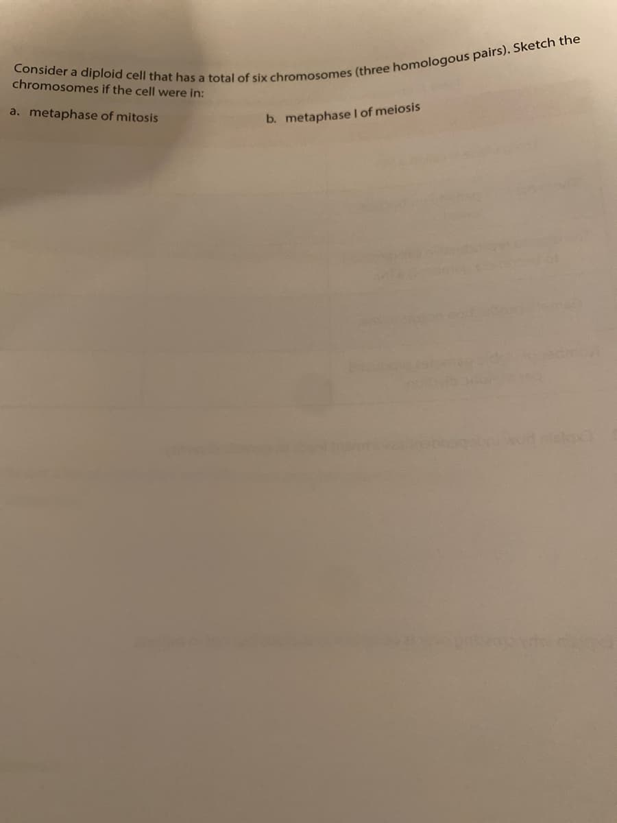 Consider a diploid cell that has a total of six chromosomes (three homologous pairs). Sketch the
chromosomes if the cell were in:
a. metaphase of mitosis
b. metaphase I of meiosis