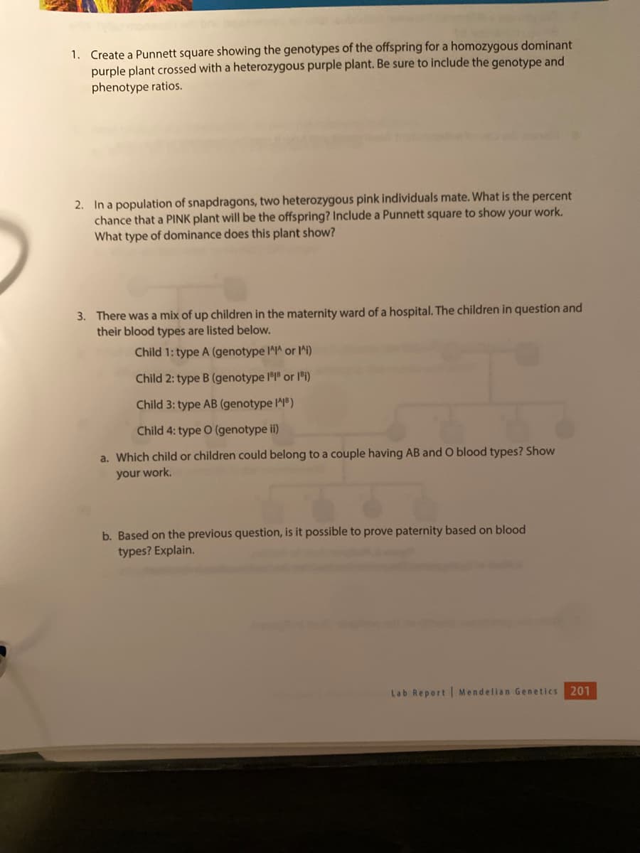 1. Create a Punnett square showing the genotypes of the offspring for a homozygous dominant
purple plant crossed with a heterozygous purple plant. Be sure to include the genotype and
phenotype ratios.
2. In a population of snapdragons, two heterozygous pink individuals mate. What is the percent
chance that a PINK plant will be the offspring? Include a Punnett square to show your work.
What type of dominance does this plant show?
3. There was a mix of up children in the maternity ward of a hospital. The children in question and
their blood types are listed below.
Child 1: type A (genotype I^I^ or I^i)
Child 2: type B (genotype 181³ or 1³i)
Child 3: type AB (genotype IIB)
Child 4: type O (genotype ii)
a. Which child or children could belong to a couple having AB and O blood types? Show
your work.
b. Based on the previous question, is it possible to prove paternity based on blood
types? Explain.
Lab Report Mendelian Genetics 201