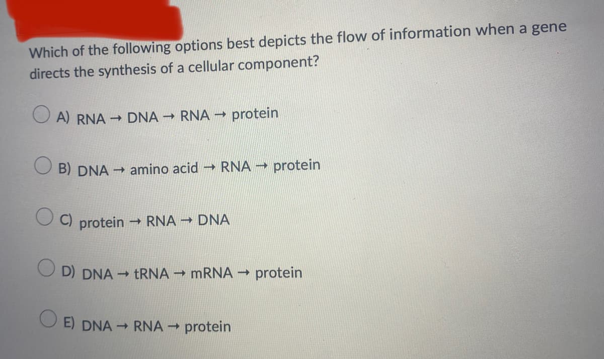 Which of the following options best depicts the flow of information when a gene
directs the synthesis of a cellular component?
A) RNA → DNA RNA →
protein
B) DNA
→ amino acid → RNA → protein
O C) protein
RNA DNA
D) DNA - TRNA → MRNA –→ protein
O E) DNA - RNA →
protein
