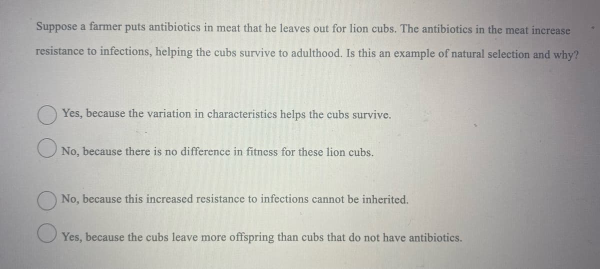 Suppose a farmer puts antibiotics in meat that he leaves out for lion cubs. The antibiotics in the meat increase
resistance to infections, helping the cubs survive to adulthood. Is this an example of natural selection and why?
Yes, because the variation in characteristics helps the cubs survive.
O No, because there is no difference in fitness for these lion cubs.
No, because this increased resistance to infections cannot be inherited.
U Yes, because the cubs leave more offspring than cubs that do not have antibiotics.
