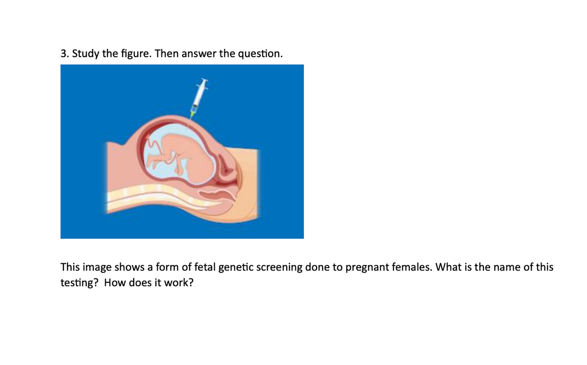 3. Study the figure. Then answer the question.
This image shows a form of fetal genetic screening done to pregnant females. What is the name of this
testing? How does it work?