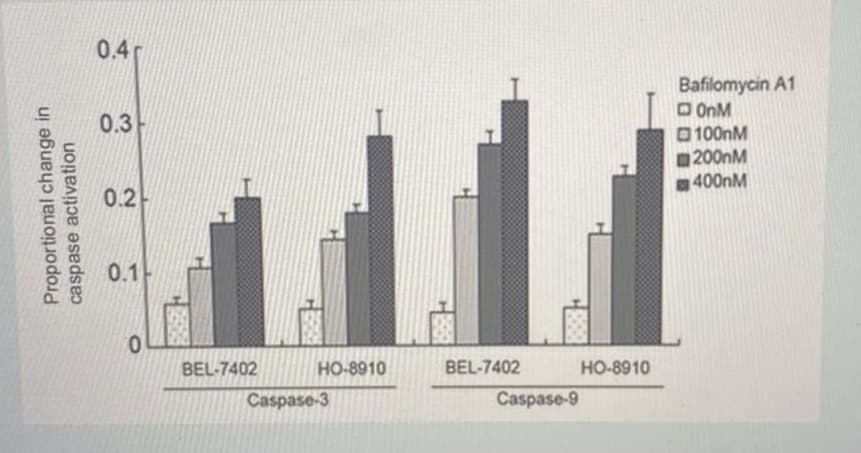 0.4
Bafilomycin A1
O OnM
0.3-
O100nM
200nM
400nM
0.2-
0.1-
BEL-7402
HO-8910
BEL-7402
HO-8910
Caspase-3
Caspase-9
Proportional change in
caspase activation
