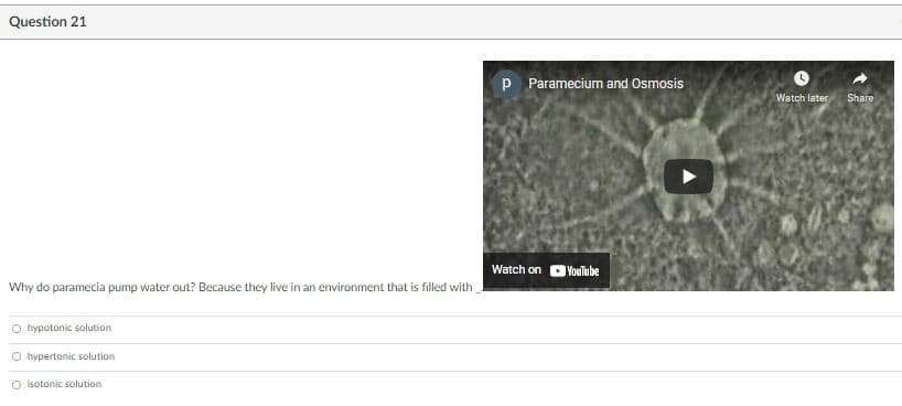 Question 21
P Paramecium and Osmosis
Watch later
Share
Watch on
VouTube
Why do paramecia pump water out? Because they live in an environment that is filled with
O hypotonic solution
O hypertonic solution
O isotonic solution
