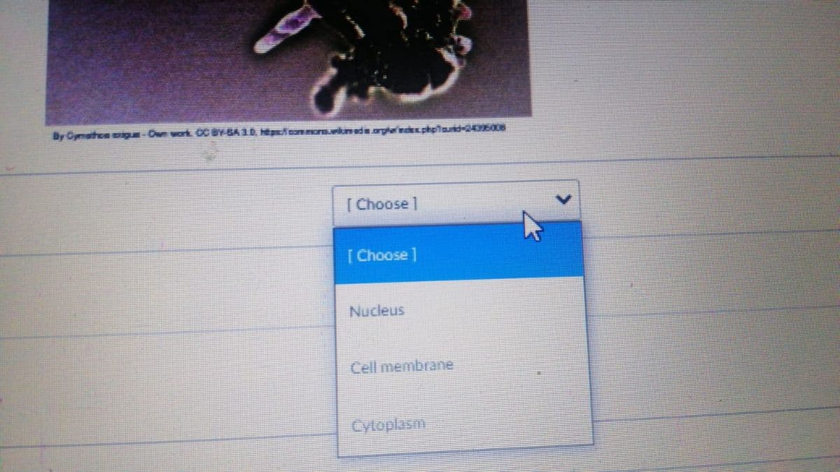 By Gpmothoa cigu Cw work CO Y-BA10 Hpfoomo.vnd.orgendephotauid-2435008
[ Choose ]
[Choose]
Nucleus
Cell membrane
Cyloplasm
