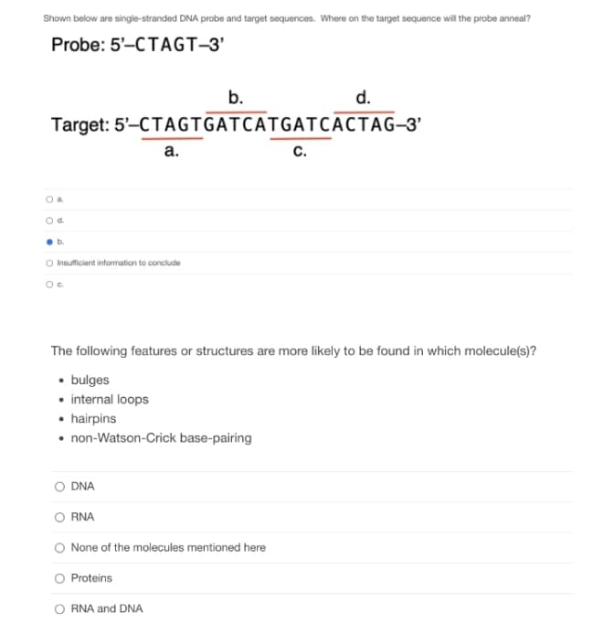 Shown below are single-stranded DNA probe and target sequences. Where on the target sequence will the probe anneal?
Probe: 5'-CTAGT-3'
b.
d.
Target: 5'-CTAGTGATCATGATCACTAG-3'
a.
C.
O a
O d
b.
O Insufficient information to conclude
O c
The following features or structures are more likely to be found in which molecule(s)?
• bulges
• internal loops
• hairpins
• non-Watson-Crick base-pairing
DNA
RNA
None of the molecules mentioned here
Proteins
O RNA and DNA