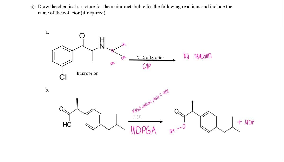 6) Draw the chemical structure for the maior metabolite for the following reactions and include the
name of the cofactor (if required).
a.
-CH3
CH3
N-Dealkylation
CH3
NO reaction
CYP
CI
Buproprion
b.
*most common phase II route
HO
UGT
UDPGA
GA-0
+ UDP