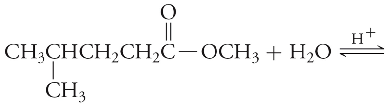 CH-CHCH,CHС-ОСH; + Но
CH3
+
