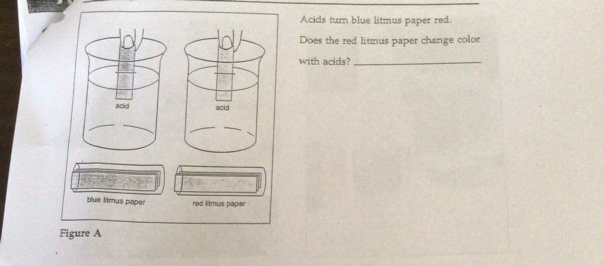 Acids turn blue litmus
paper red.
Does the red litmus paper change color
with acids?
acid
acid
blue litmus paper
red litmus paper
Figure A
