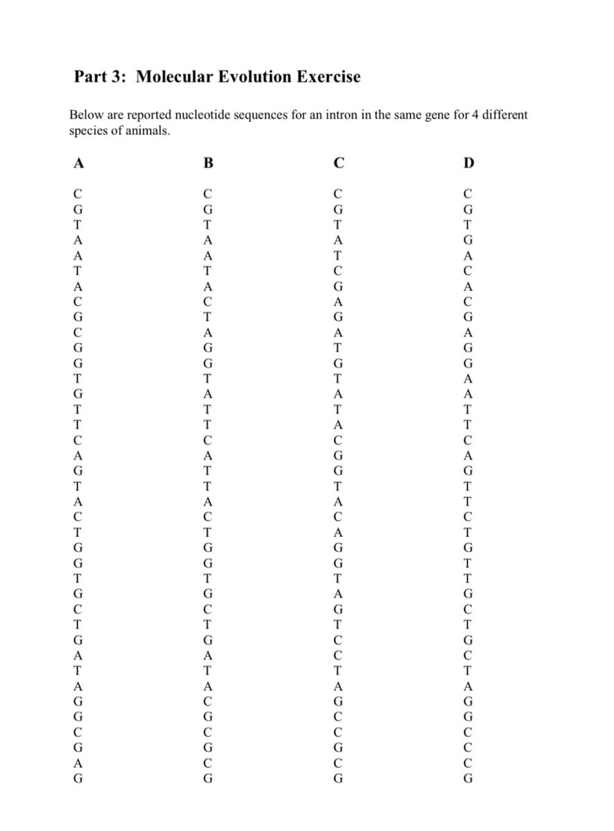 Part 3: Molecular Evolution Exercise
Below are reported nucleotide sequences for an intron in the same gene for 4 different
species of animals.
A
CCTAAT ACCI
:CGCC AG
B
CCTAATACTACCTA
90G
C
CCTATCCAC.
TGTATAC
D
CCTCAC
PETCTGTTCO