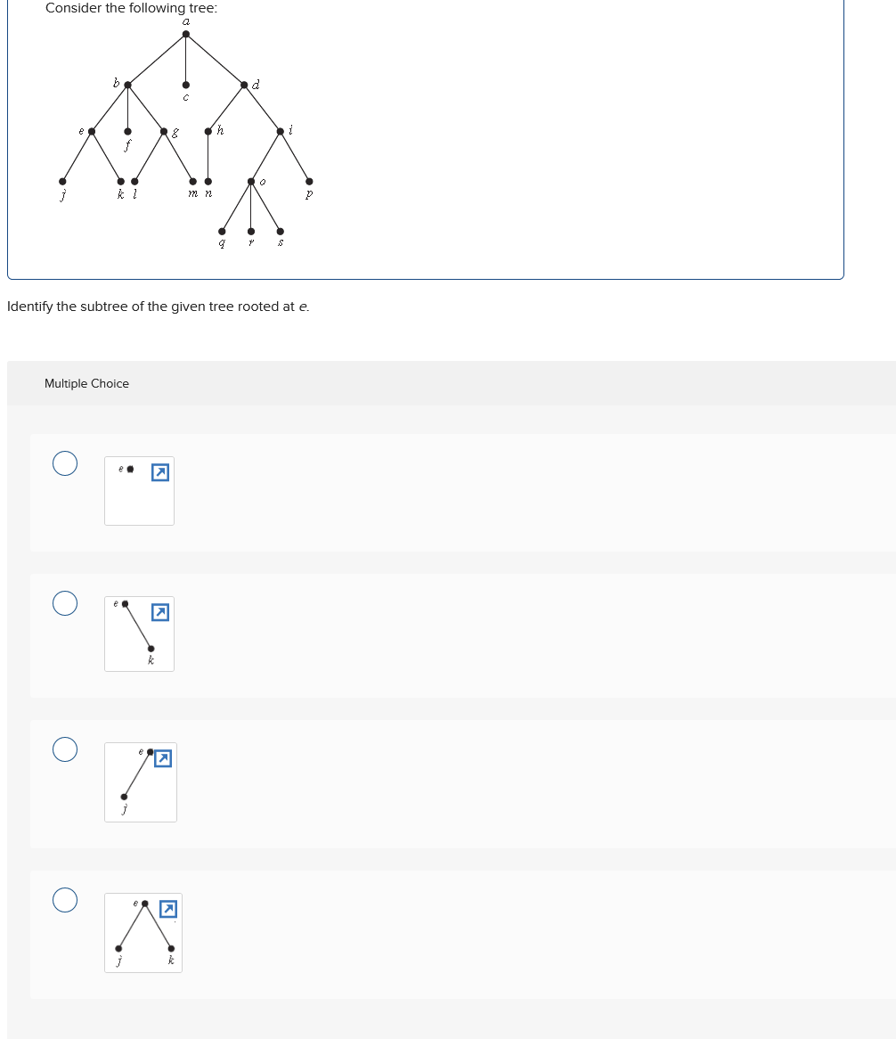 Consider the following tree:
a
e
d
P
j
kl
m n
Identify the subtree of the given tree rooted at e.
Multiple Choice
☑