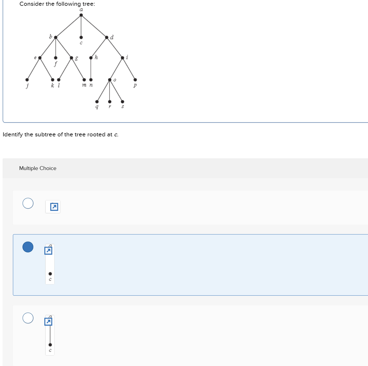 Consider the following tree:
a
b
18
h
d
k l
m n
P
Identify the subtree of the tree rooted at c.
Multiple Choice
☑
C