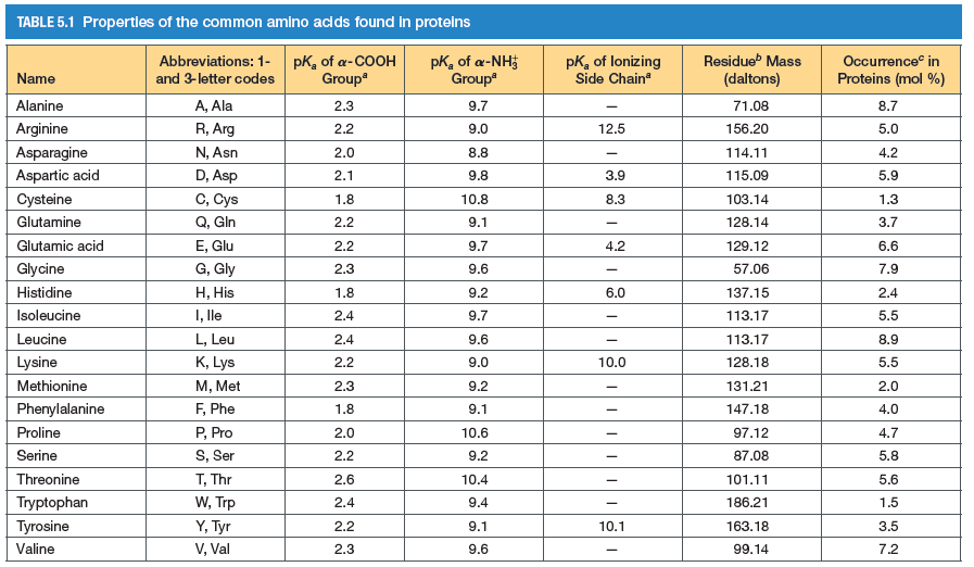 TABLE 5.1 Properties of the common amino acids found in proteins
pK, of a-COOH
Group
pk, of a-NH
Group
pK, of lonizing
Side Chain
Abbreviations: 1-
Residue Mass
Occurrence in
Name
and 3-letter codes
(daltons)
Proteins (mol %)
Alanine
A, Ala
2.3
9.7
71.08
8.7
Arginine
R, Arg
2.2
9.0
12.5
156.20
5.0
Asparagine
N, Asn
2.0
8.8
114.11
4.2
D, Asp
C, Cys
Q, Gin
E, Glu
G, Gly
Н, His
I, lle
Aspartic acid
2.1
9.8
3.9
115.09
5.9
Cysteine
1.8
10.8
8.3
103.14
1.3
Glutamine
2.2
9.1
128.14
3.7
Glutamic acid
2.2
9.7
4.2
129.12
6.6
Glycine
2.3
9.6
57.06
7.9
Histidine
1.8
9.2
6.0
137.15
2.4
Isoleucine
2.4
9.7
113.17
5.5
Leucine
L, Leu
2.4
9.6
113.17
8.9
K, Lys
М, Met
F, Phe
Lysine
2.2
9.0
10.0
128.18
5.5
Methionine
2.3
9.2
131.21
2.0
Phenylalanine
1.8
9.1
147.18
4.0
Proline
P, Pro
2.0
10.6
97.12
4.7
Serine
S, Ser
2.2
9.2
87.08
5.8
Threonine
T, Thr
2.6
10.4
101.11
5.6
Tryptophan
W, Trp
2.4
9.4
186.21
1.5
Tyrosine
Y, Tyr
2.2
9.1
10.1
163.18
3.5
Valine
V, Val
2.3
9.6
99.14
7.2
