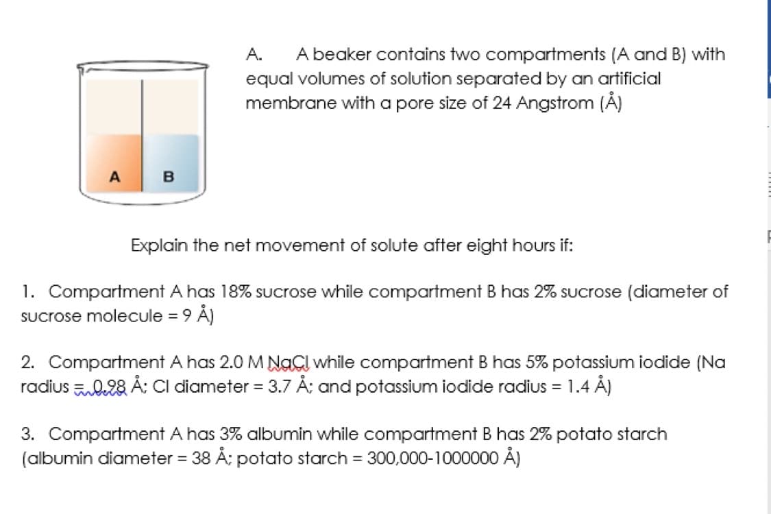 A beaker contains two compartments (A and B) with
equal volumes of solution separated by an artificial
membrane with a pore size of 24 Angstrom (Å)
A.
A
Explain the net movement of solute after eight hours if:
1. Compartment A has 18% Sucrose while compartment B has 2% sucrose (diameter of
Sucrose molecule = 9 Å)
%3D
2. Compartment A has 2.0 M NaCl while compartment B has 5% potassium iodide (Na
radius 0.28 Å; Cl diameter = 3.7 Å: and potassium iodide radius = 1.4 Å)
3. Compartment A has 3% albumin while compartment B has 2% potato starch
(albumin diameter = 38 Å: potato starch = 300.000-1000000 Å)
