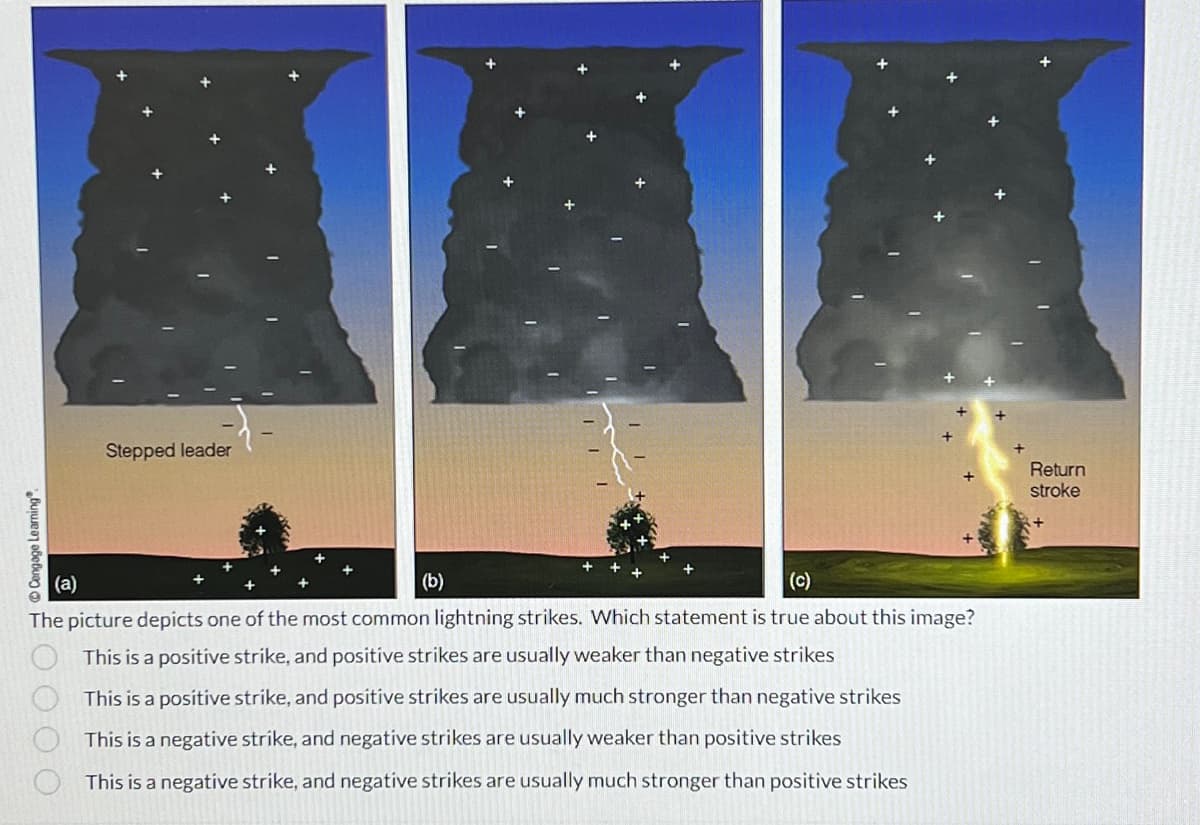 O O O O Cengage Learning
Stepped leader
(a)
(b)
(c)
The picture depicts one of the most common lightning strikes. Which statement is true about this image?
This is a positive strike, and positive strikes are usually weaker than negative strikes
This is a positive strike, and positive strikes are usually much stronger than negative strikes
This is a negative strike, and negative strikes are usually weaker than positive strikes
This is a negative strike, and negative strikes are usually much stronger than positive strikes
Return
stroke