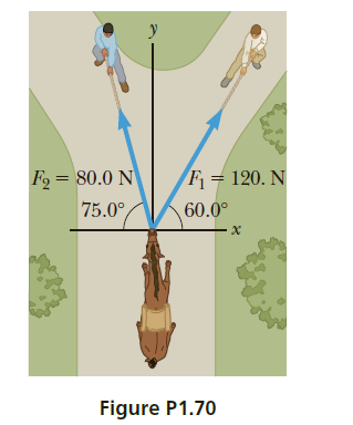 F = 120. N
Fo = 80.0 N
75.0°,
60.0°
Figure P1.70
