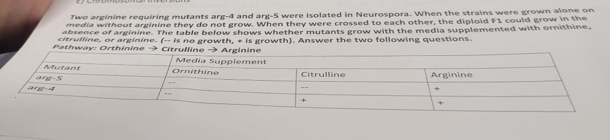 Two arginine requiring mutants arg-4 and arg-5 were isolated in Neurospora. When the strains were grown alone on
media without arginine they do not grow. When they were crossed to each other, the diploid F1 could grow in the
absence of arginine. The table below shows whether mutants grow with the media supplemented with ornithine,
citrulline, or arginine. (-- is no growth, + is growth). Answer the two following questions.
Pathway: Orthinine
Citrulline → Arginine
Mutant
arg-5
arg-4
Media Supplement
Ornithine
Citrulline
+
Arginine
+
+