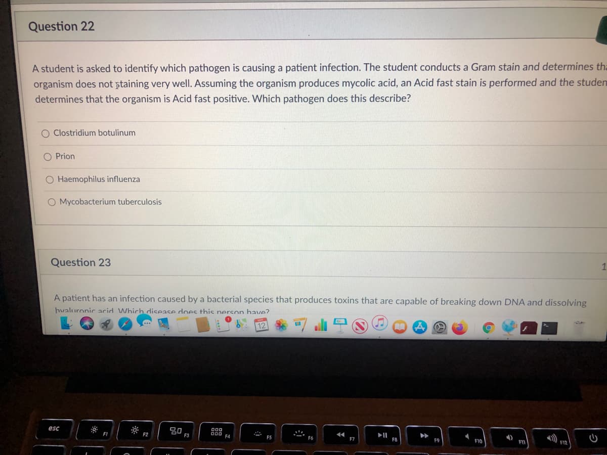 Question 22
A student is asked to identify which pathogen is causing a patient infection. The student conducts a Gram stain and determines th=
organism does not staining very well. Assuming the organism produces mycolic acid, an Acid fast stain is performed and the studen
determines that the organism is Acid fast positive. Which pathogen does this describe?
O Clostridium botulinum
O Prion
O Haemophilus influenza
O Mycobacterium tuberculosis
Question 23
A patient has an infection caused by a bacterial species that produces toxins that are capable of breaking down DNA and dissolving
hvaluronicacid. Which disease does this nerson have?.
12
esc
吕0
FI
II
F7
F9
F10
F12
