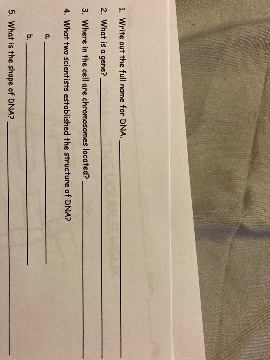 1. Write out the full name for DNA.
2. What is a gene?
3. Where in the cell are chromosomes located?
4. What two scientists established the structure of DNA?
a.
b.
5. What is the shape of DNA?
